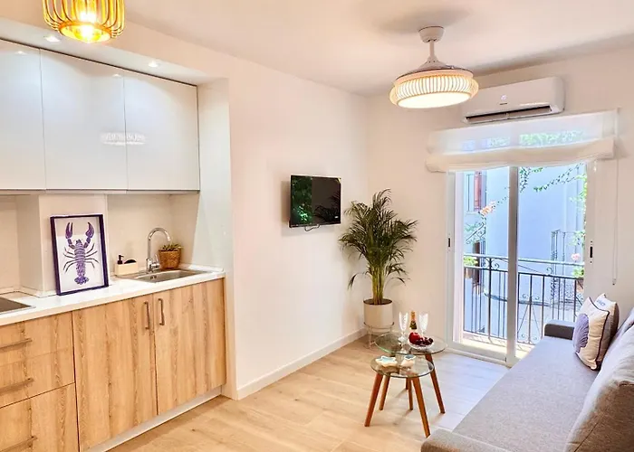 Ana Centro Apartamento Marbella